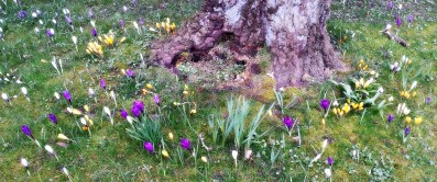 20160320_162444_Richtone(HDR)