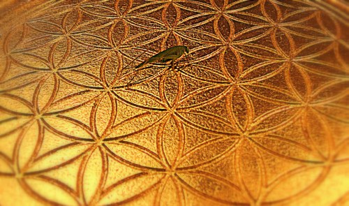 Foto und Objekt: Frank Leo Poppner